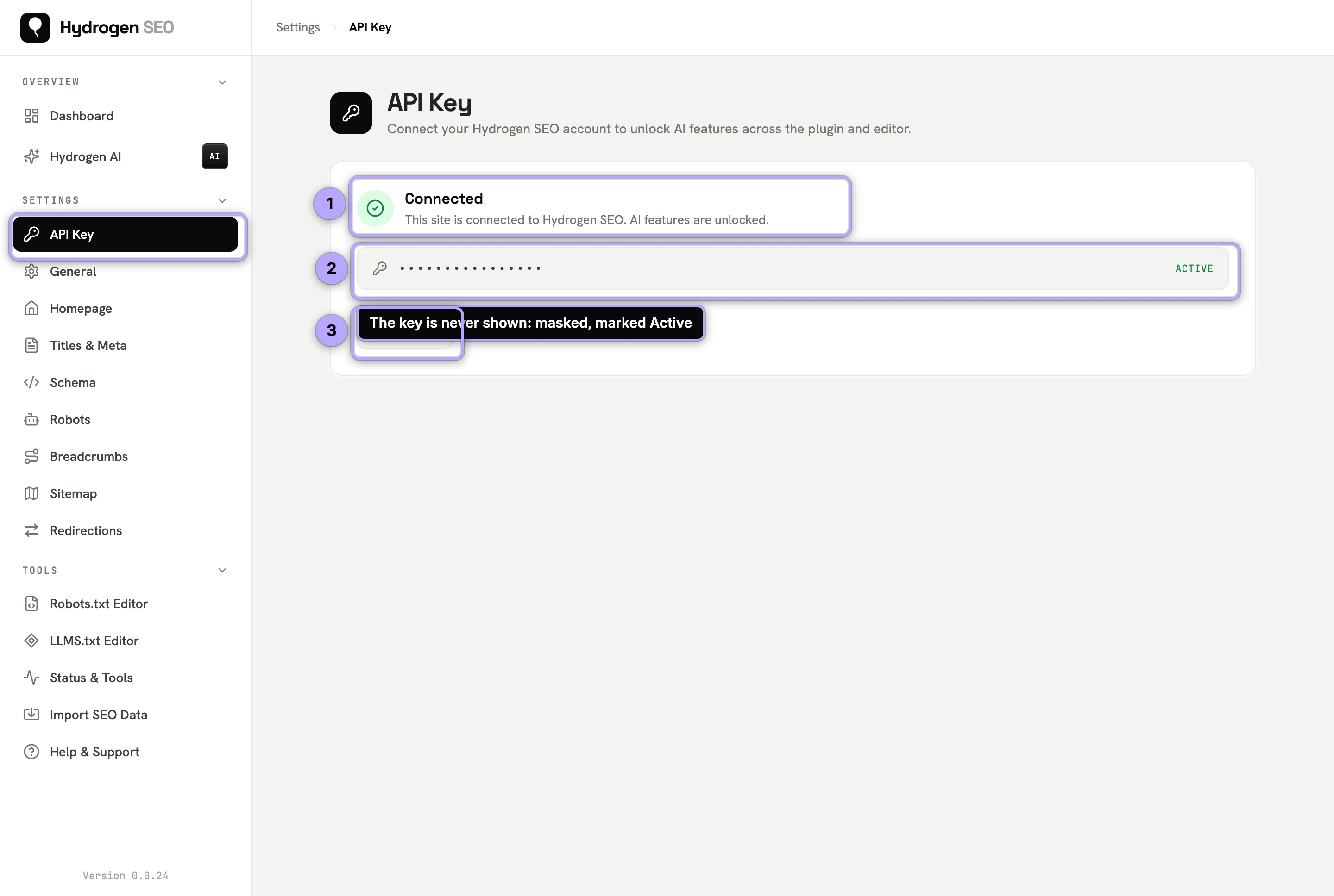 API Key page connected: Connected (1), masked key marked Active (2), Disconnect (3); no Required badge in the sidebar.