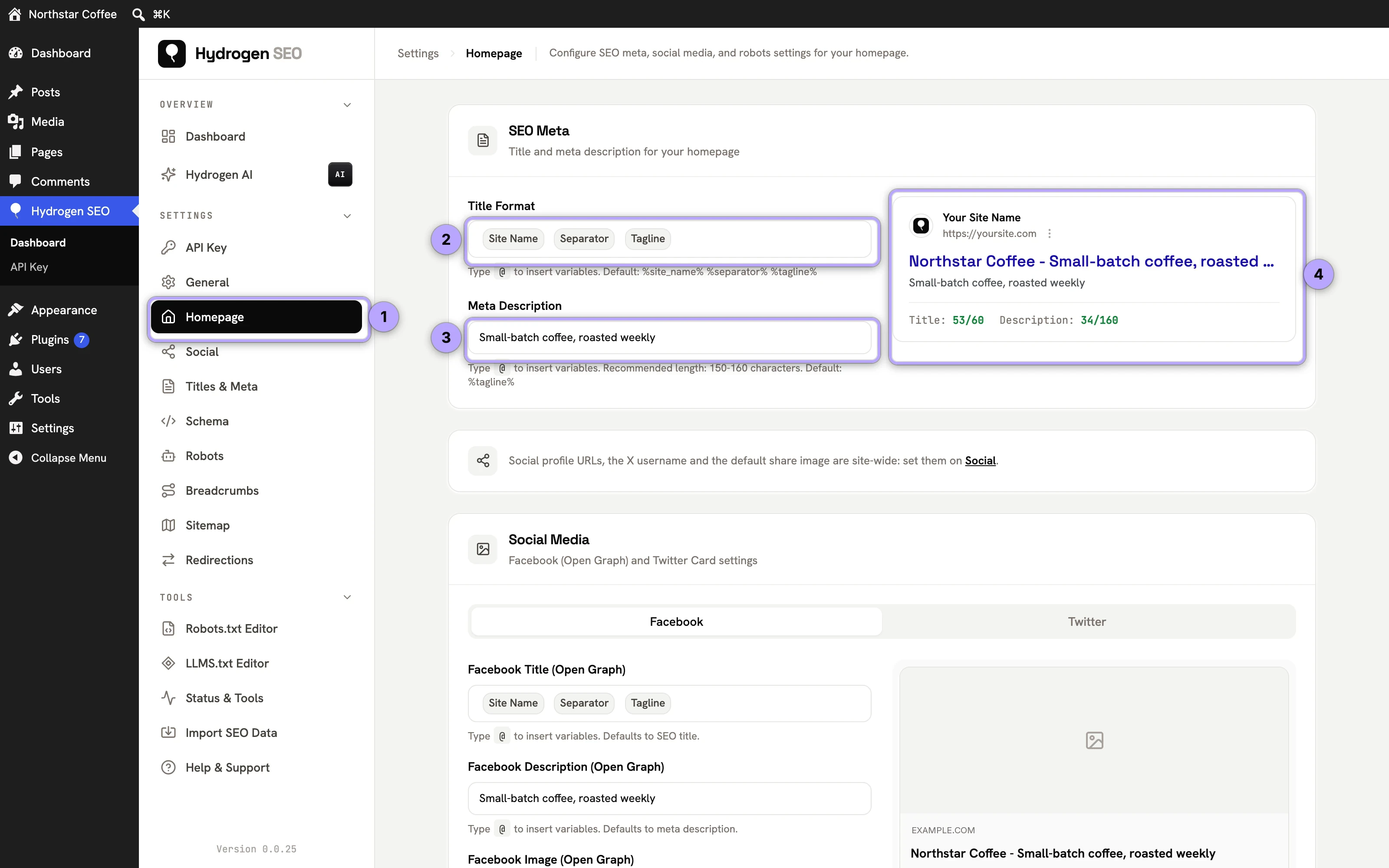 Homepage settings: sidebar item (1), Title Format (2), Meta Description (3) and live preview (4).