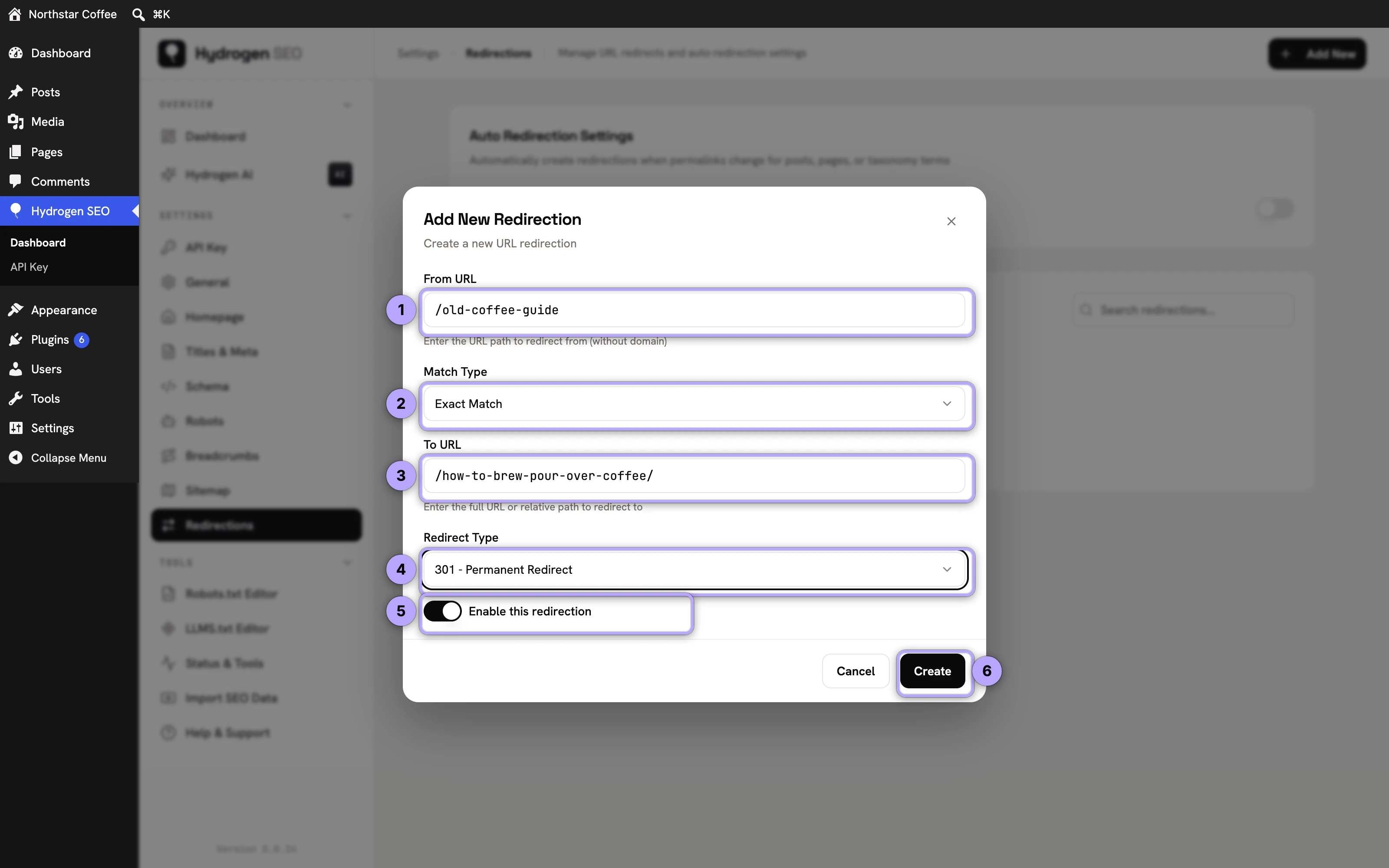 Add New Redirection modal: From URL (1), Match Type (2), To URL (3), Redirect Type (4), Enable this redirection (5), Create (6).